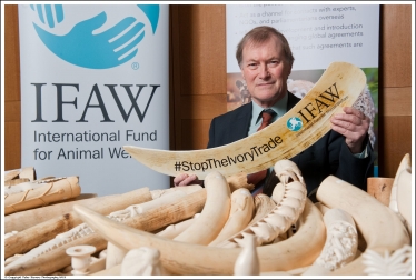 Ivory Ban event